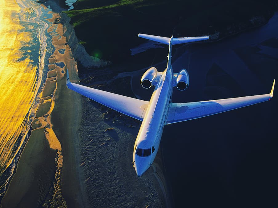Deer Jet tweet media