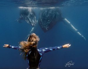 Recently trials were conducted off Esperance by world leading Shark expert OCEAN RAMSEY. Ocean corrected Data on the reactions between the Rpela Surfboard Shark Deterrent and White Sharks. We will Update you on the results.