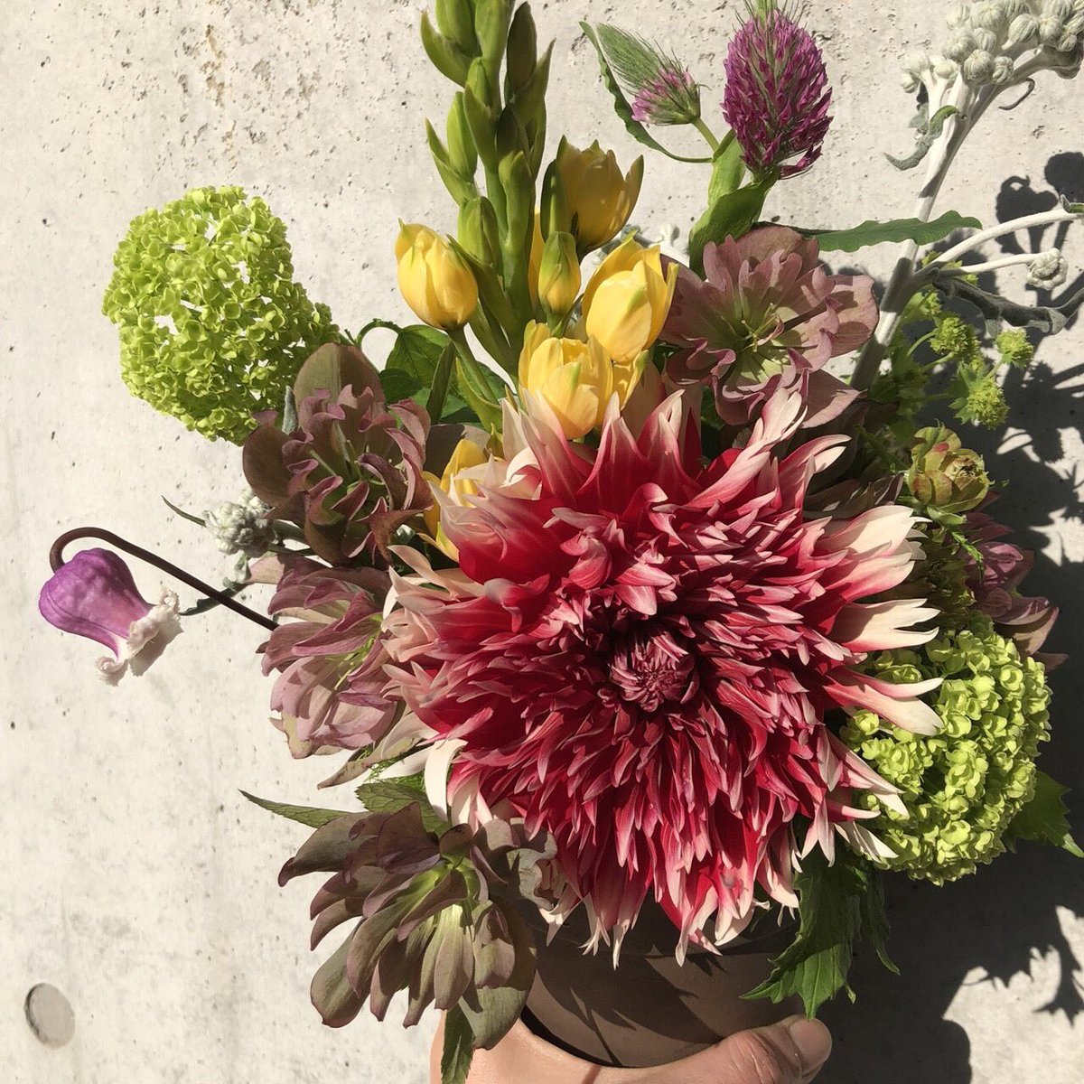 フラワーリトル 5 22花教室 ダリア 祝花 スプレーバラ エルヴァレンジ クリスマスローズ オーニソガラム クレマチス トリフォリューム ダスティーミラー アルケミラモーリス テマリソウ スノーボール