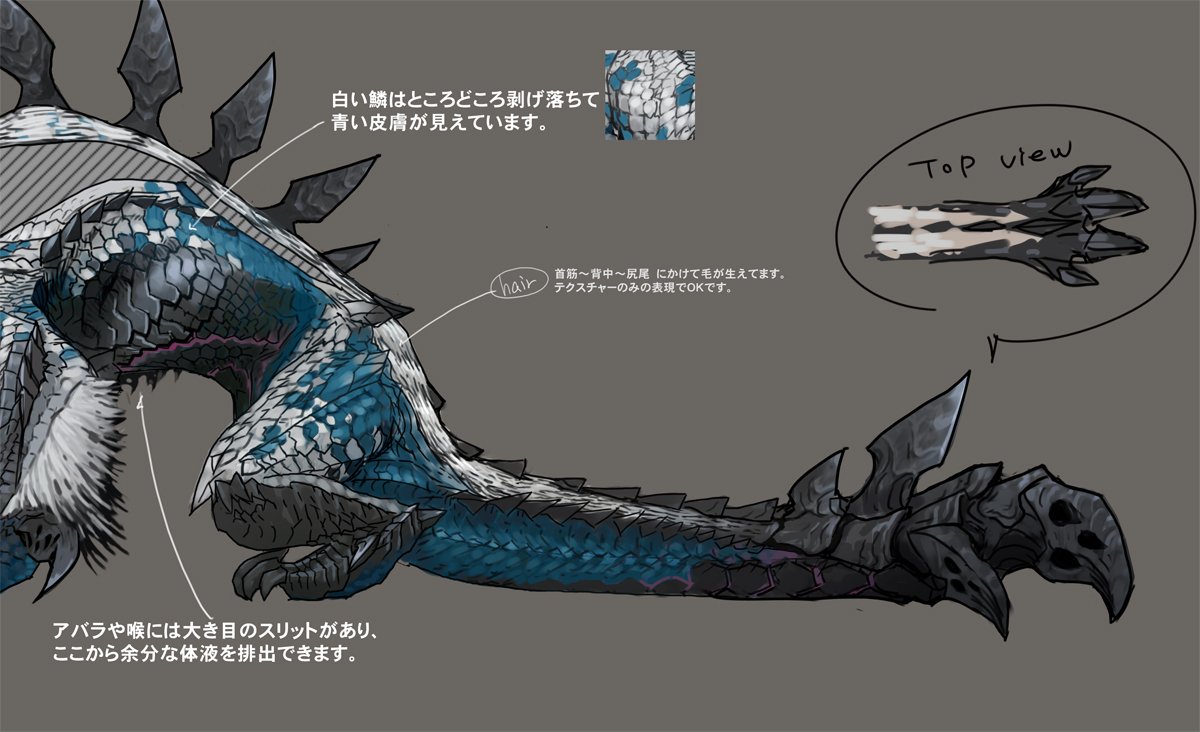 Twitter 上的 モンスターハンター エクスプロア公式 デザイン画公開 6月1日 狩猟解禁の新モンスターの生態にデザイン画で迫る 其の参 今回は黒冠龍モルドムントの 皮膚 尻尾 部分 特長的な尻尾だけでなく 白と青のコントラストになっている鱗部分の Twitter 上的 モンスターハンター エクスプロア公式 デザイン画公開 6月1日 狩猟解禁の新モンスターの生態にデザイン画で迫る 其の参 今回は黒冠龍モルドムントの 皮膚 尻尾 部分 特長的な尻尾だけでなく 白と青のコントラストになっている鱗部分の