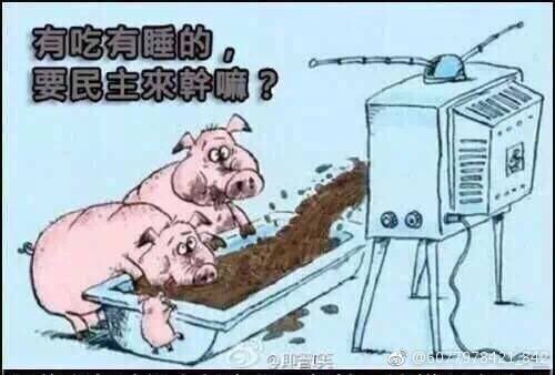 TBBZXGJ's tweet photo. @LamYuetKam  https://t.co/TMVaErNajg