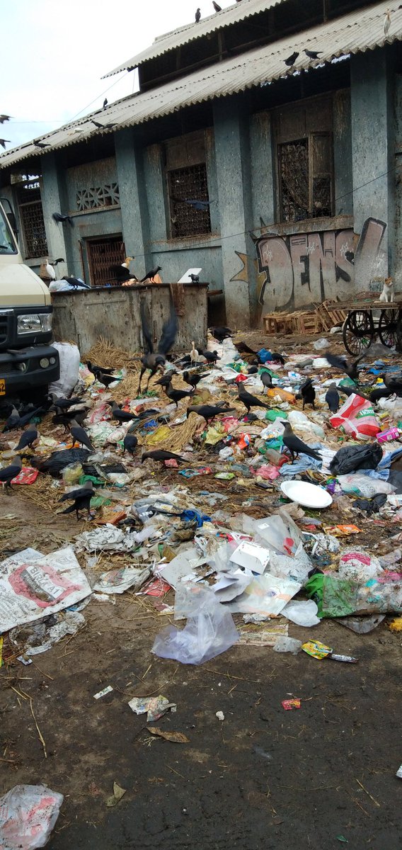 firozeshakir's tweet photo. @CMOMaharashtra Dear Sirs the most poor attempt at garbage management by #BMC #HWard is this ugly garbage dump at #BandraBazarRoad it is an eye sore.
I shot over 150 videos #YouTube
But it still the same both during @INCIndia and @BJP4Maharashtra rule.
Please Help https://t.co/RrDlPdyLJt