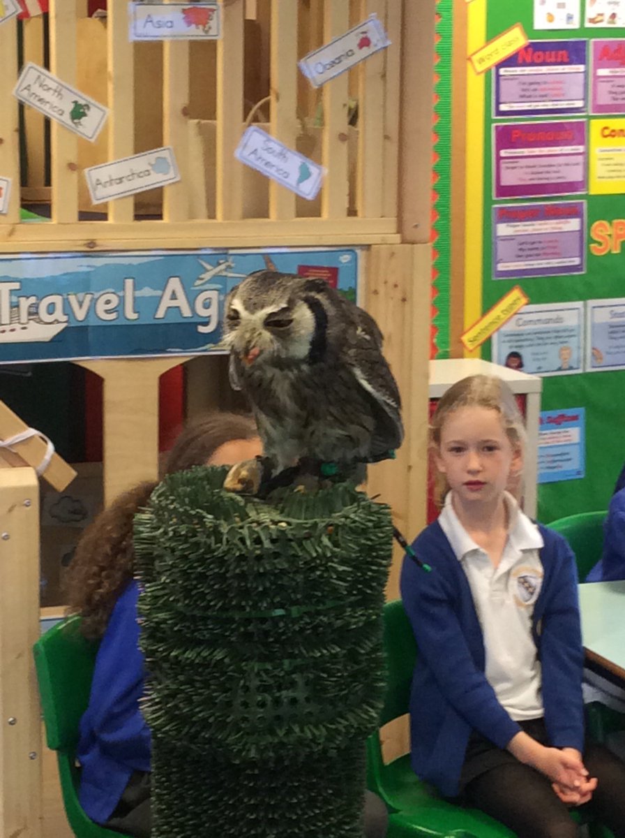 TheBlissCharitySch tweet media