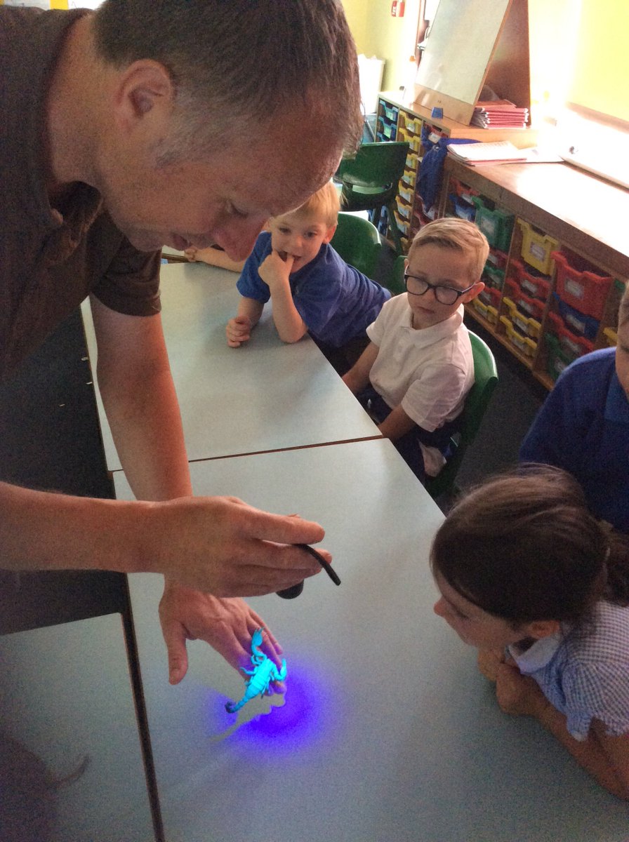 What a fantastic way for Class 2 to finish our Amazing Animals topic...<a href="/Raptorxotics/">RaptorXotics</a>! 
Having a fact-filled, fun morning, sharing what we know and learning so much more!