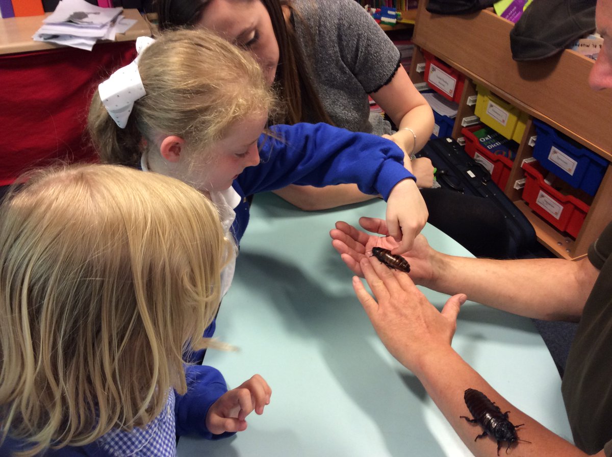 TheBlissCharitySch tweet media