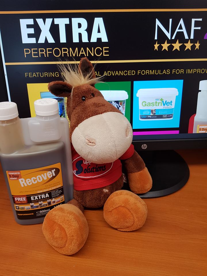 SupSolutions's tweet image. FREE Trial Pack of Recover!*
Browse our wide range of @nafuk Products here: supplementsolutions.co.uk/catalogsearch/……
*If you feed any one of the Extra Performance Range products above - while stocks last!
#supplementsolutions #NAF #horsesupplements #equestrian #freetrial