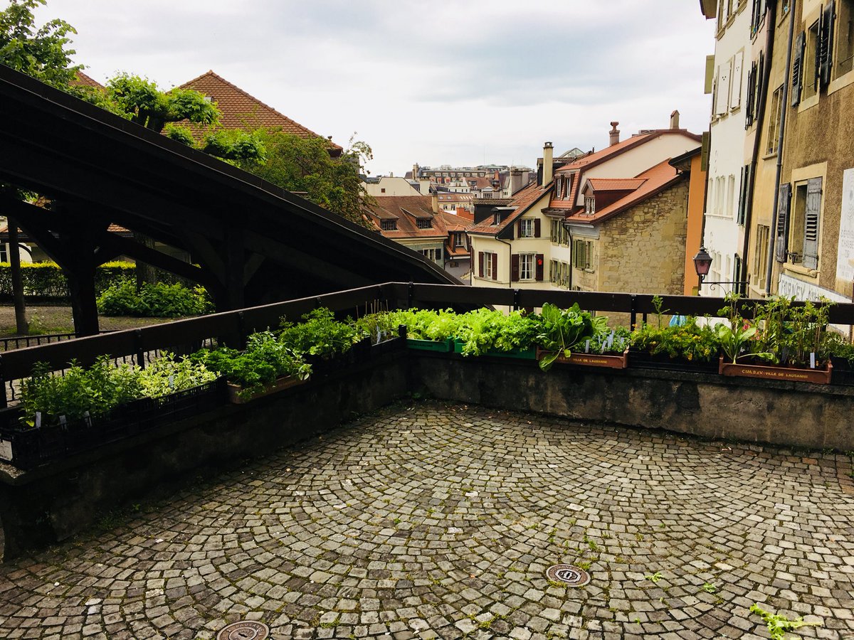 FDVLausanne's tweet photo. Attention horaires spéciaux!! Pour les organisateurs qui ne sont pas encore venu chercher leur kit.
Mercredi 23 mai: 8h00-11h30, 12h30-16h30
Jeudi 24 mai: 8h00-12h00, 13h30-18h30
Vendredi 25 mai: 8h00-11h30, 12h30-16h30 https://t.co/Y2A9caZlJE