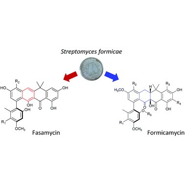 OrgBiomolChem's tweet photo. Congratulations to Barrie Wilkinson at @JohnInnesCentre for being named a 2018 #RSCawards winner for his interdisciplinary work in the engineering of biosynthetic pathways to microbial metabolites. Read some of his work in @ChemicalScience https://t.co/xeFAxwPkcu https://t.co/Lyc1k3GEvp