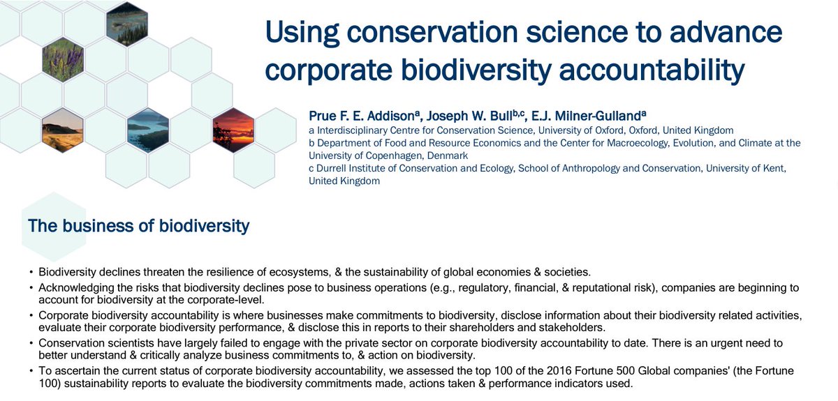 prueaddison's tweet photo. From #CEEDTC2018 to #NetImpactApproaches2018 to @BESConservation #N4FG18 - I'll be presenting #business & #biodiversity #research undertaken by @wildbusiness @EJMilnerGulland and I! Come see our poster and find out more from me today & tomorrow! https://t.co/9EBQq9nUJL
