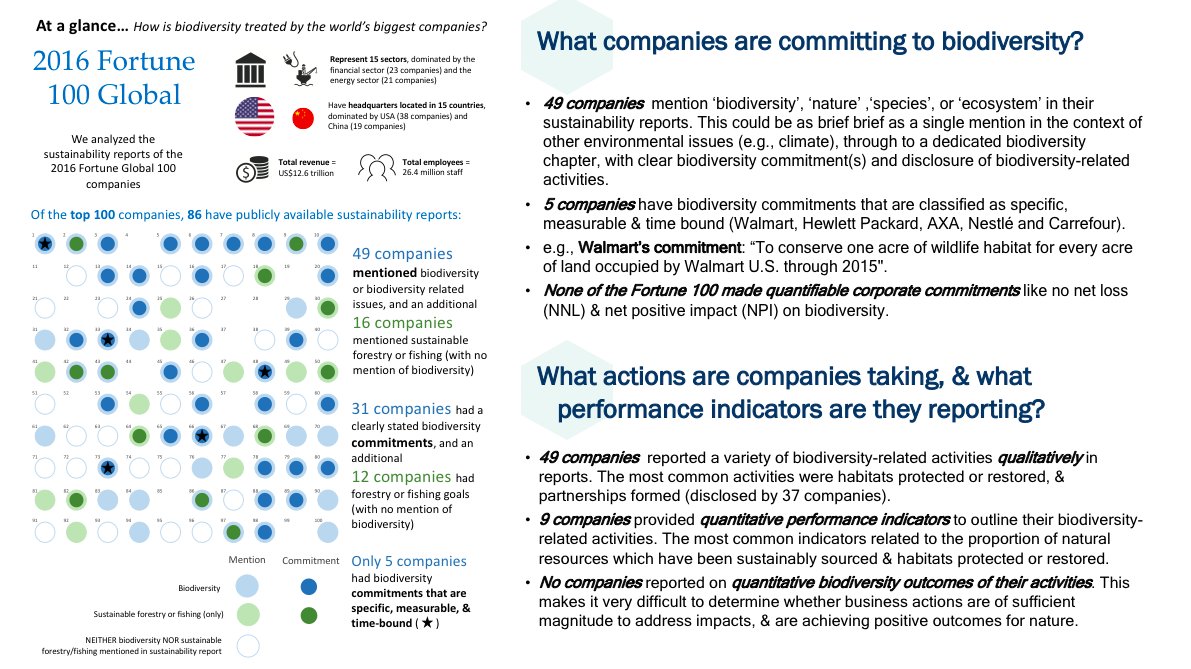 prueaddison's tweet photo. From #CEEDTC2018 to #NetImpactApproaches2018 to @BESConservation #N4FG18 - I'll be presenting #business & #biodiversity #research undertaken by @wildbusiness @EJMilnerGulland and I! Come see our poster and find out more from me today & tomorrow! https://t.co/9EBQq9nUJL
