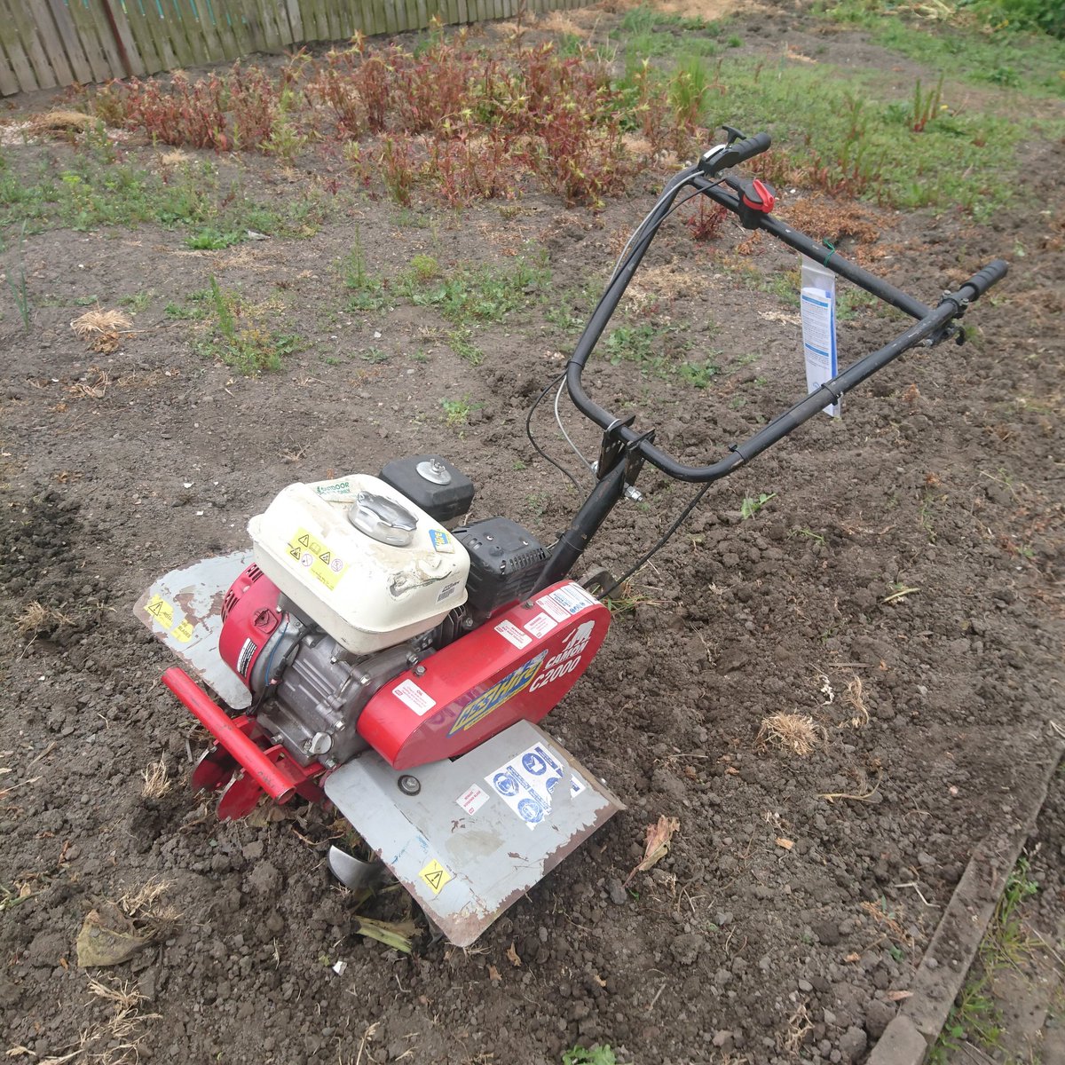 banished2attic's tweet photo. Finally getting the allotment sorted ready for planting :) #allotmentlife #growyourown https://t.co/FIp8xkh1nr