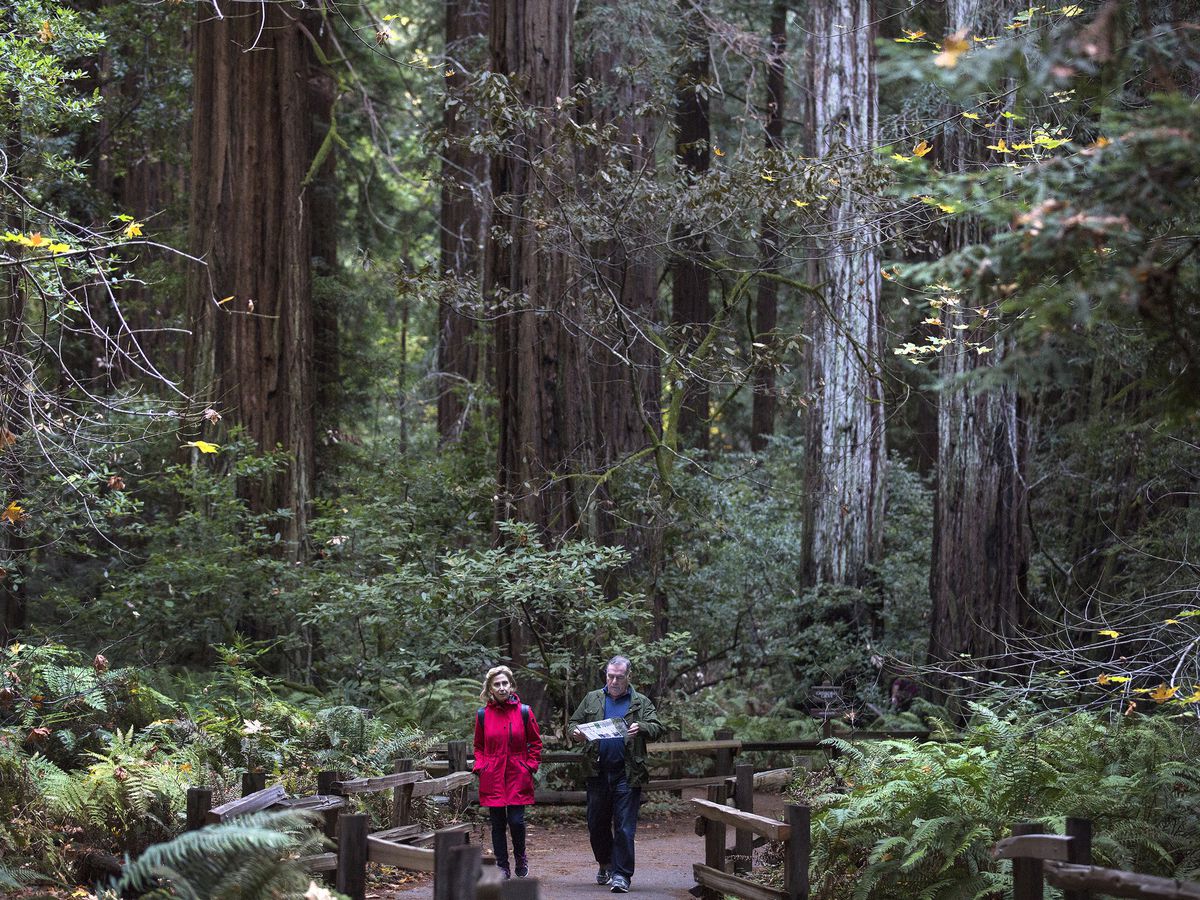 navmii's tweet image. Stuck on where to go and what to do? Here are some #roadtrip ideas for your 2018 #travel needs! ➡️ ow.ly/W0zc30k8GrA