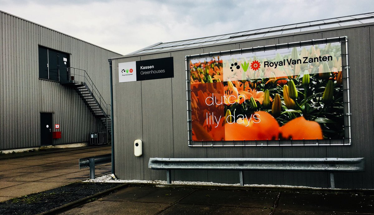 De voorbereidingen voor de Dutch Lily Days zijn in volle gang.