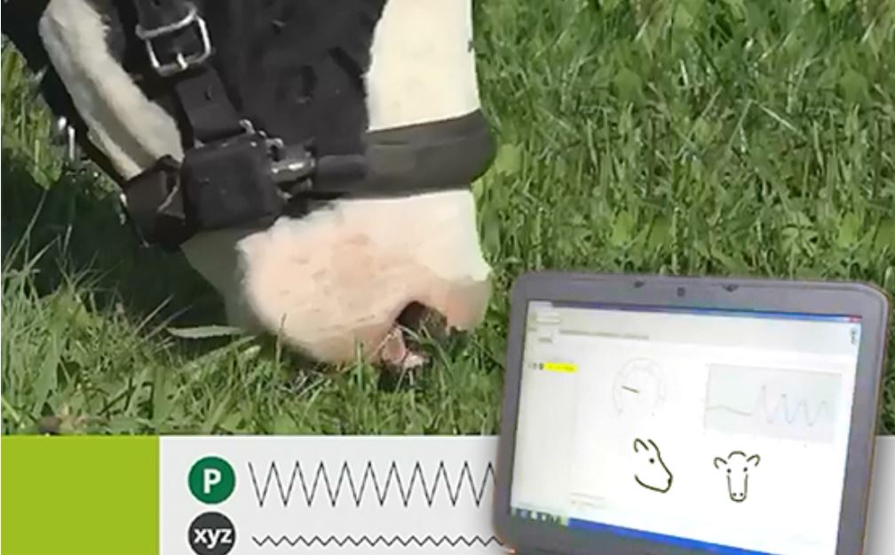 SMP_swissmilk's tweet image. Grips statt Gips! Die Agroscope-Leistungen für die Schweizer Milchwirtschaft müssen erhalten bleiben. bit.ly/2klVIUt #SMP #Agroscope #swissmilk