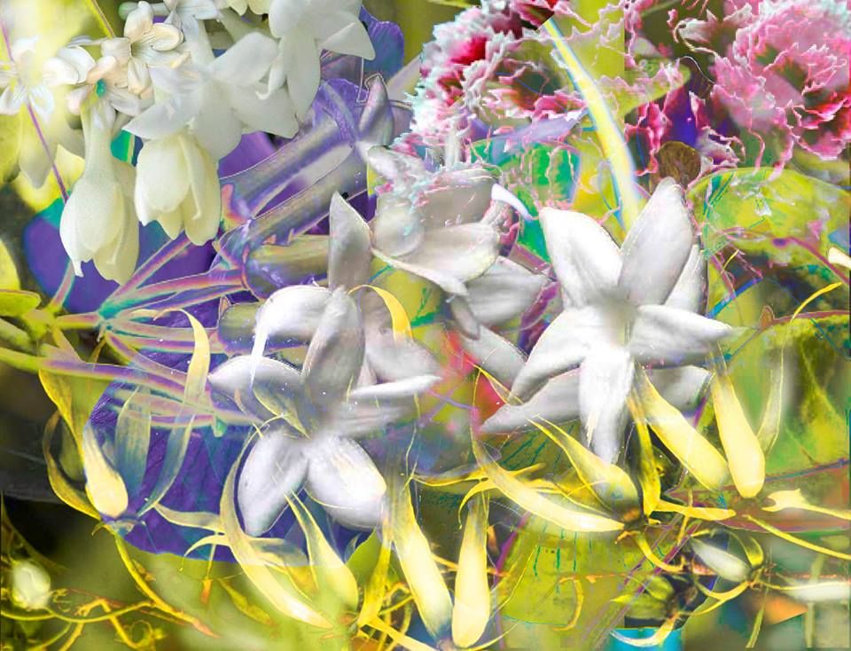 JardinRetrouve's tweet photo. Have you read @IScentYouADay 's scrumptuous review of #PerfumeRevivalProject? Curious to know what she chose? #LeJardinRetrouve #YuriGutsatz @StephanTweets <3 https://t.co/sNOLxeeVXe https://t.co/dA82I4gNm6