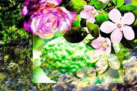 JardinRetrouve's tweet photo. Have you read @IScentYouADay 's scrumptuous review of #PerfumeRevivalProject? Curious to know what she chose? #LeJardinRetrouve #YuriGutsatz @StephanTweets <3 https://t.co/sNOLxeeVXe https://t.co/dA82I4gNm6