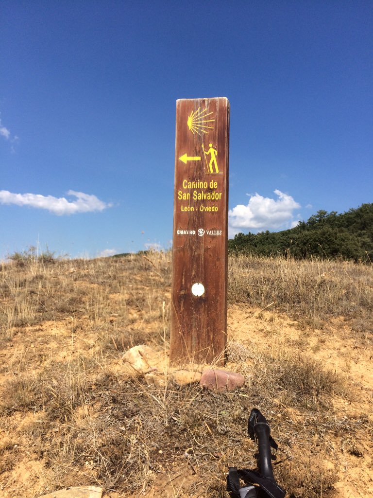 shlomocohen3's tweet photo. #ViaPodensis #CaminoFrances What you think you become,what you feel you attract,what you imagine you create.There is always something to learn about yourself on the Camino.Its now 12 days before I start my walk from Le Puy to Santiago de Compostela.🌻 https://t.co/fjZX8HfeAA