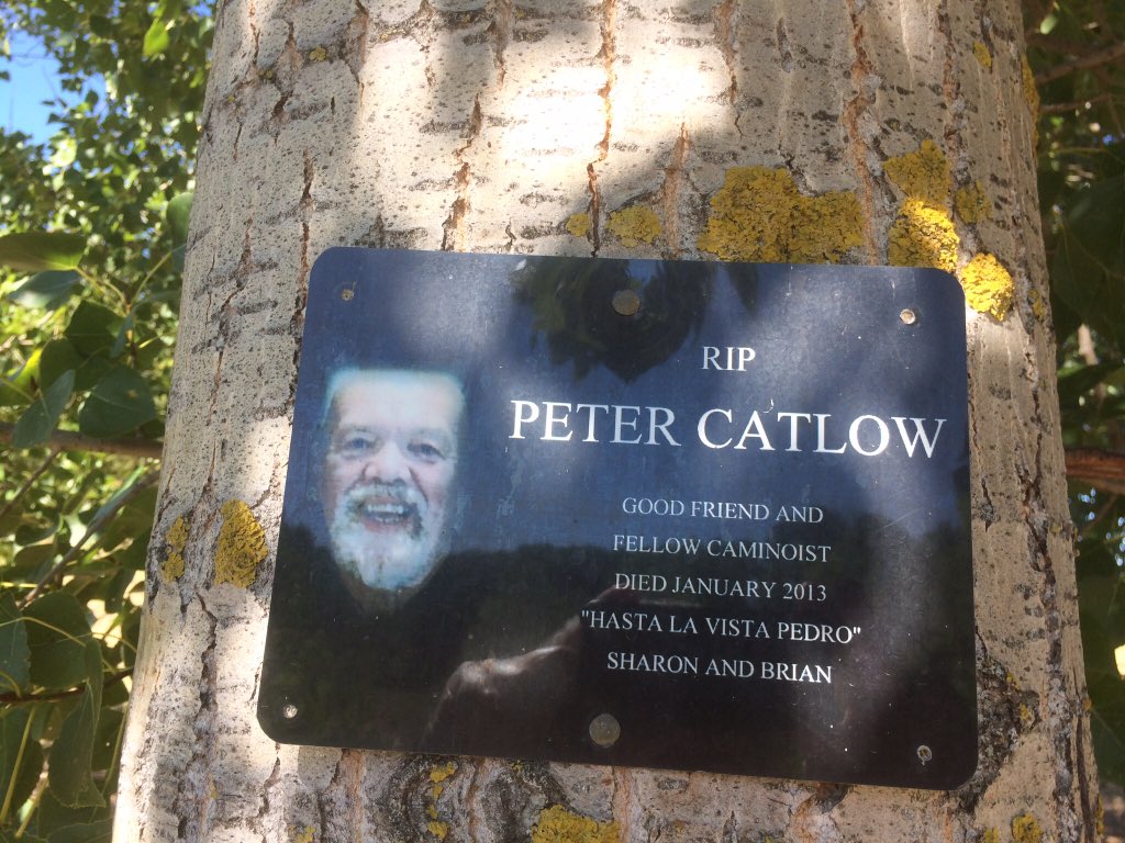 shlomocohen3's tweet photo. #ViaPodensis #CaminoFrances What you think you become,what you feel you attract,what you imagine you create.There is always something to learn about yourself on the Camino.Its now 12 days before I start my walk from Le Puy to Santiago de Compostela.🌻 https://t.co/fjZX8HfeAA