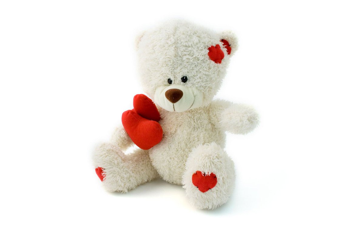 tanyasingh0823's tweet photo. Deliver Soft toy and chocolates for Your Fathers at best price
Check it:- https://t.co/WDz4WAInb9
#fathersday #chocolates #softtoys #fathers #bangalore https://t.co/1vWkMMkjgR