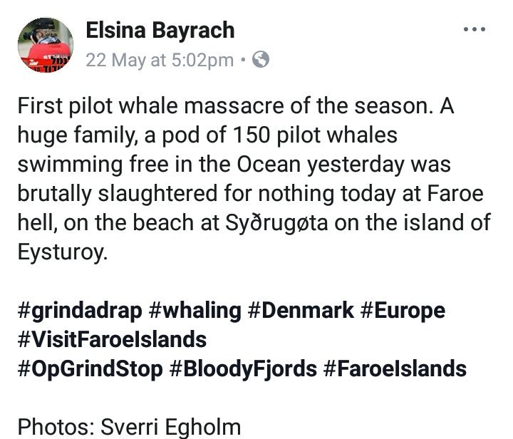 Michellebergh's tweet image. #stop #FaroeIslands #WHALES #slaughter
#deprogramme #cultural #sacrifice