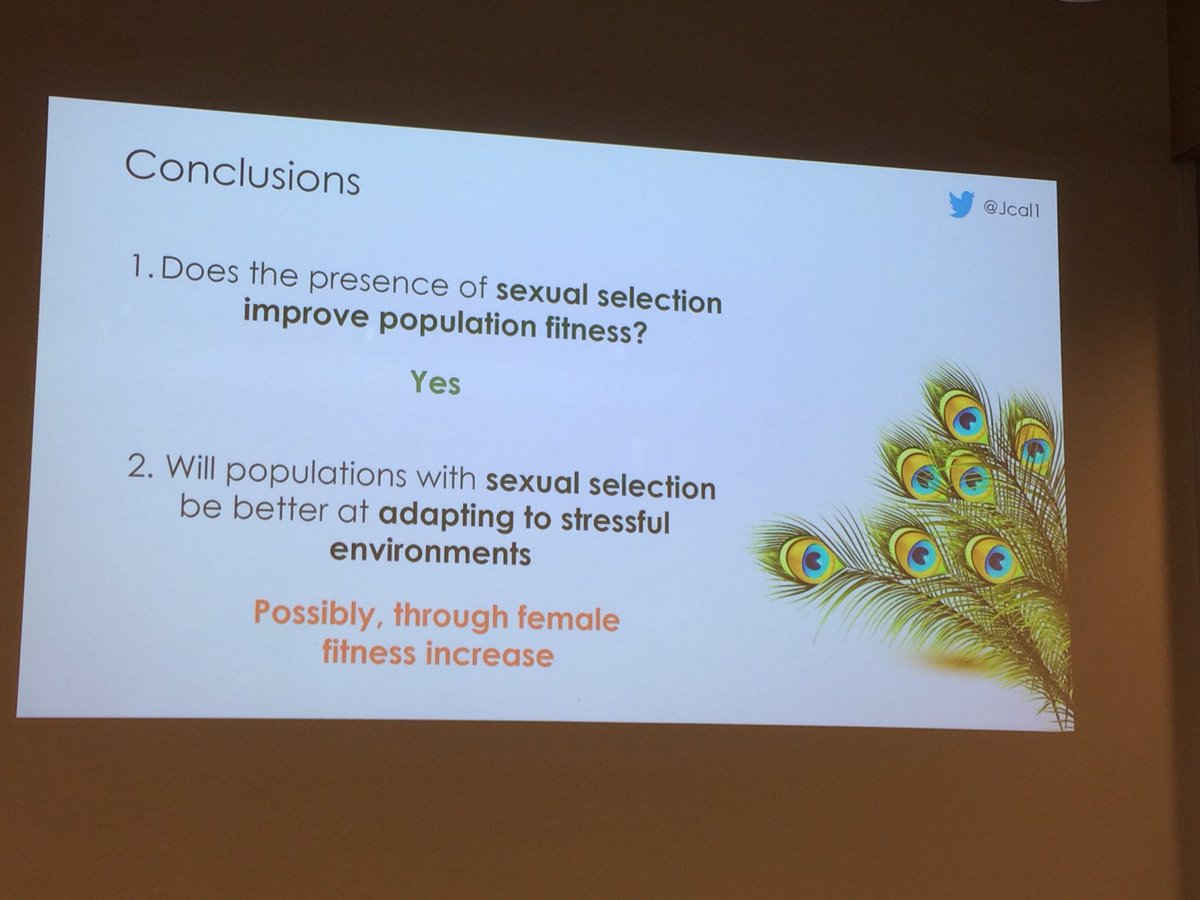 eco_davey's tweet photo. Sexual selection increases population fitness! Research by @Jcal1 suggests that giving females greater choice in captive breeding could increase reintroduction success in the future! #devilark #UniMelbscicom #WildOz @devil_ark #BiodiversityDay #scicomm #conservation https://t.co/dBZyWrcDPT