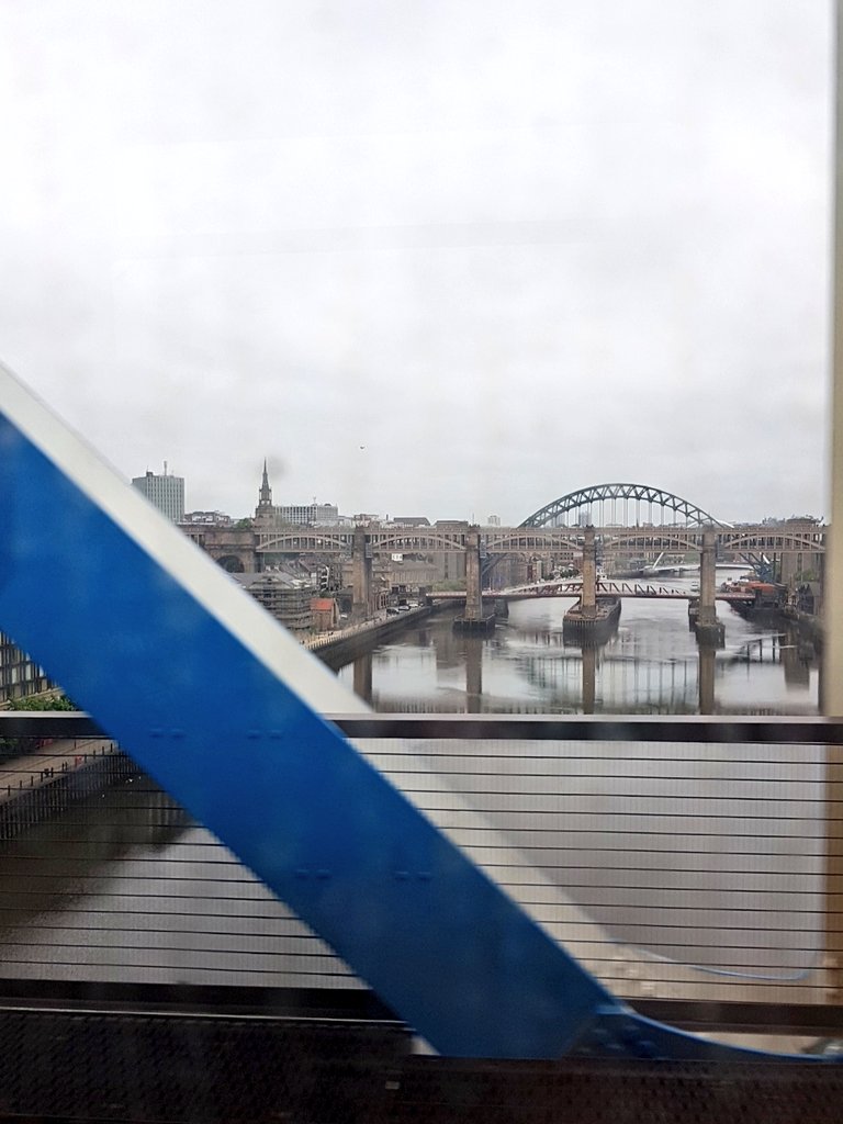 NUTHMedEd's tweet photo. Might need to bring your umberella's if you are attending #nuthmeded2018! We won't let the North East weather stop over 100 medical education enthusiasts from getting together! https://t.co/LDoGQ6uYrK