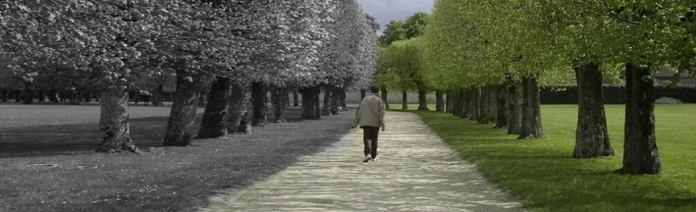 NEZARETHANEDE BİR ENGELLİ

İlk önce ceplerimi boşaltmamı istedi. Cüzdanımı, 45 TL paramı...

Onlar belirtmeden ben “yoldaş” ismini verdiğim beyaz bastonumu katlayıp diğer eşyaların yanına bıraktım

(Ferit Can yazdı)

magduriyetler.com/2018/05/22/din…