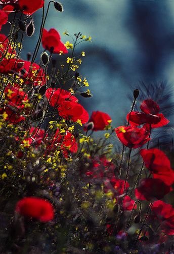 Il y a des personnes qui marque nos vies, même si cela ne dure qu’un moment, et nous ne sommes plus les mêmes. Le temps n’a pas d’importance mais certains moments en ont pour toujours. #MyPic