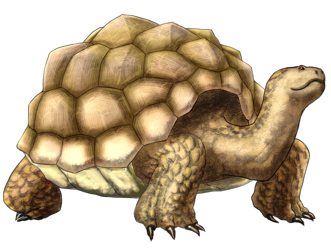 亀の日のtwitterイラスト検索結果 古い順