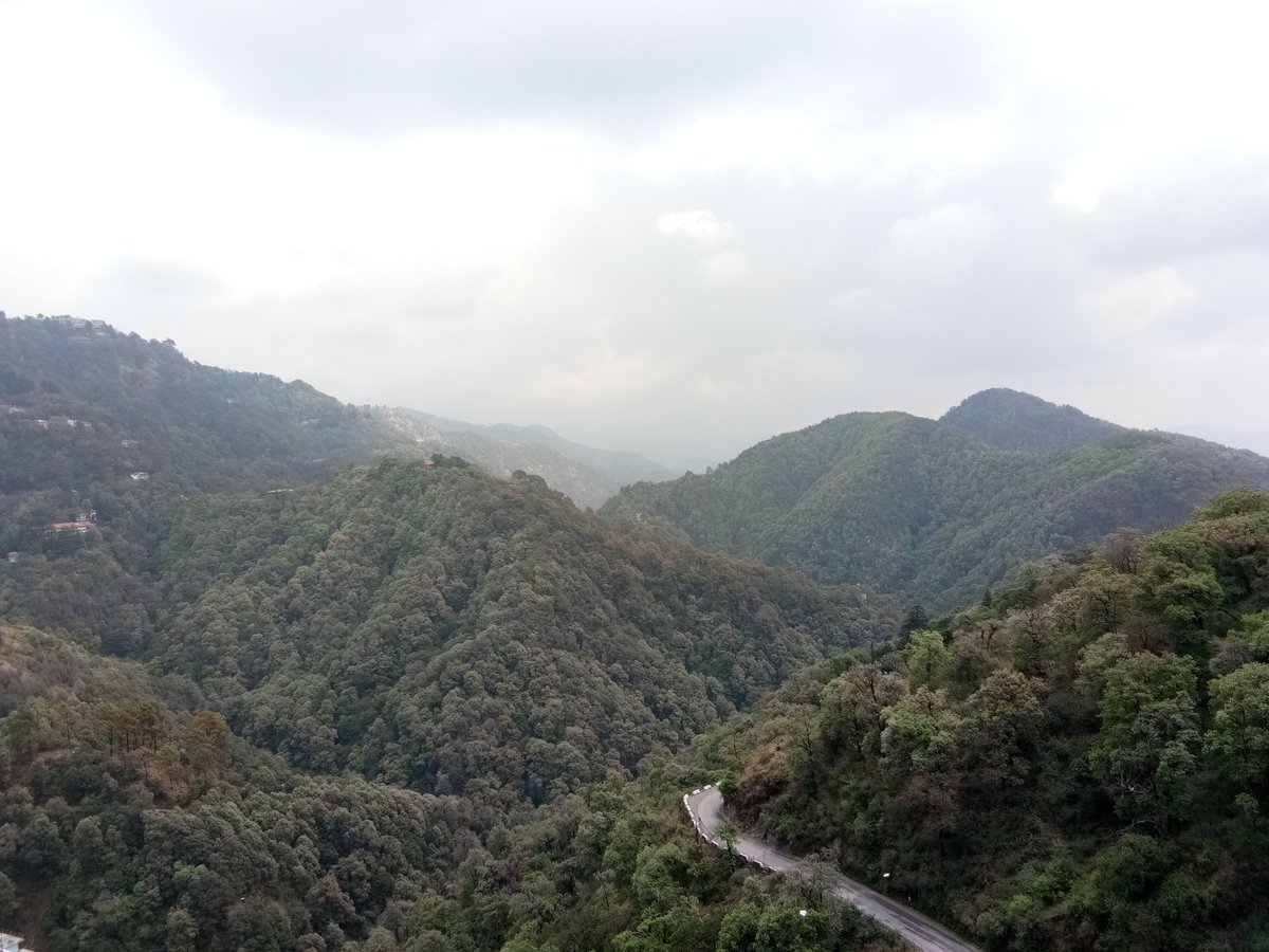 Hito_Travelz's tweet photo. Travel with HITO Tour
Call us on +919690662211
https://t.co/DRsg5puUqP
#travel #tour #incredibleIndia #tourism #hills #mountain #amazing #view #outside #essence_of_uttarakhand #forest_view #firstmoment #holidays #uttarakhand_trek #solotravel #nature #world_travel. https://t.co/D6nWdZSBNI