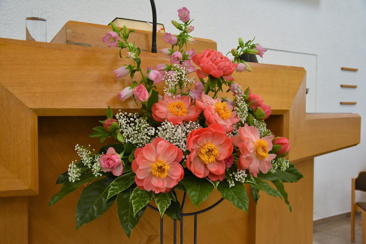 NakCelle's tweet photo. Brautgemeinde
https://t.co/zueqDgLHLA
#NAKCelle https://t.co/Z3TRouqJJk