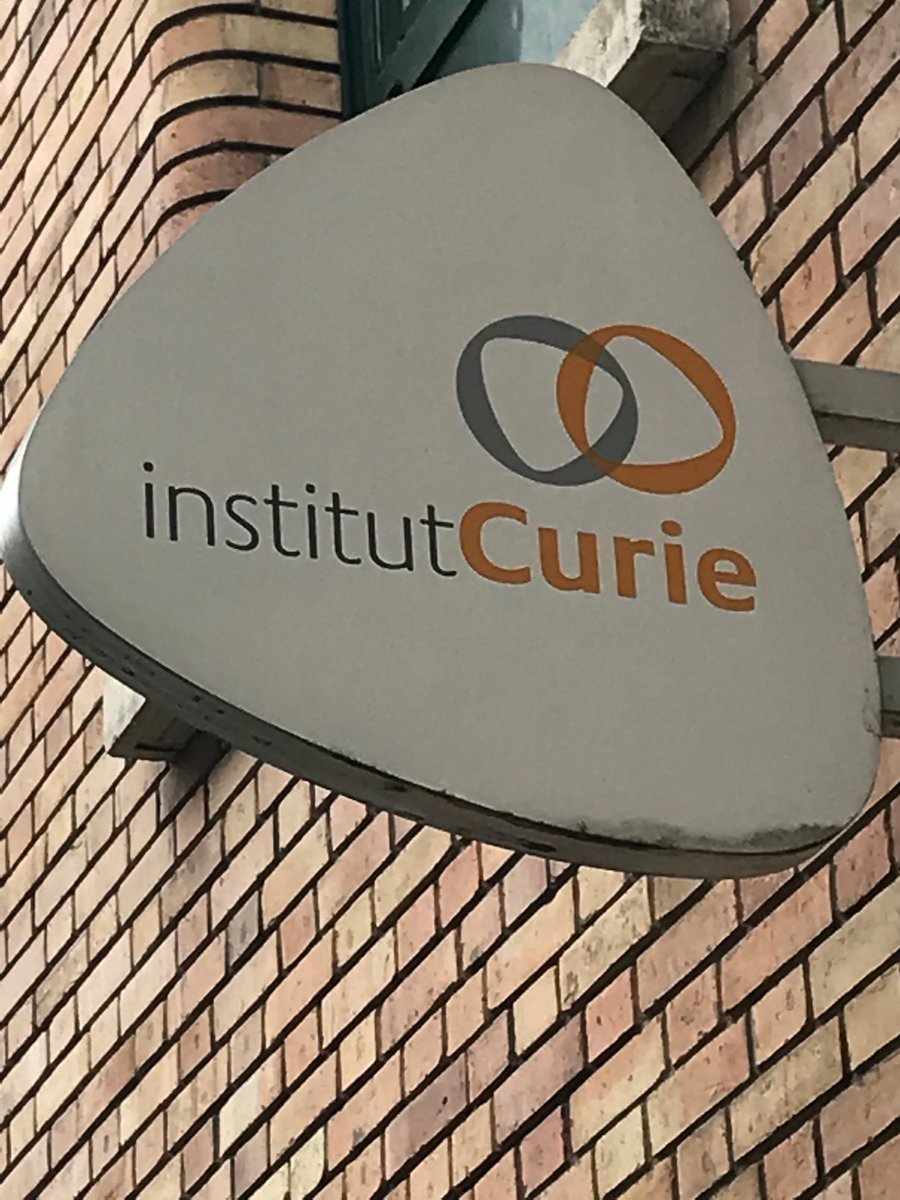 EU-Life Scientific meeting in Precision Medicine hosted by Institute Curie in Paris, France. Two days of translational  research.