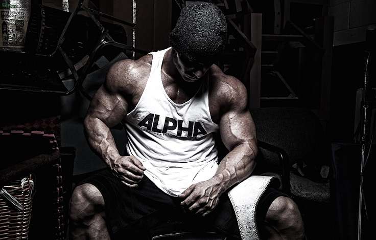 Gym & Fitness World tweet media