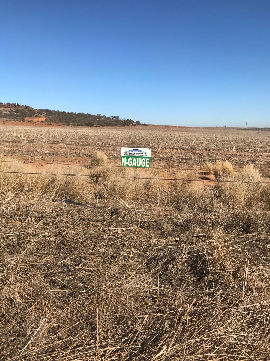 summitfertz's tweet photo. Things are dry around WA but Summit Area Managers are busy laying down Fuel Gauge strips before the rain this week. #SummitQ #FieldResearch What's a Fuel Gauge? - ask a Summit Area Manager all about them. #SummitFuelGauge  #decisionsinyourpaddock https://t.co/JgFWRz3VIK