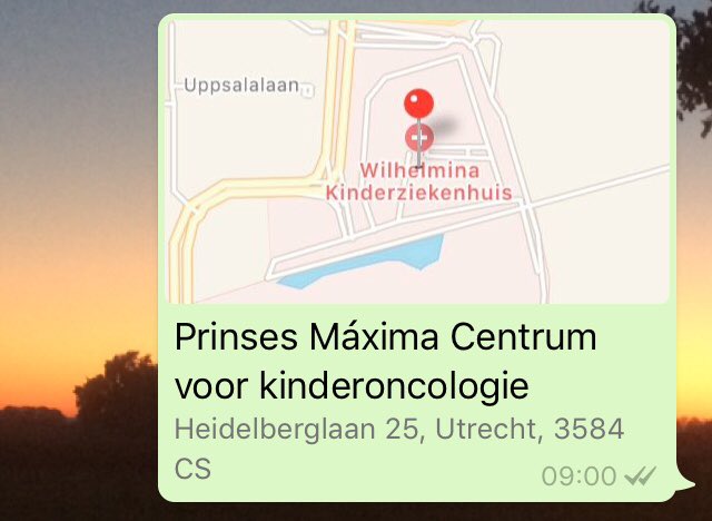 MaaikeKohne's tweet photo. Zo kom je nog is ergens als vrijwilliger voor steunpunt van stichting Haarwensen @prinsesmaximac https://t.co/fQ7RsFFbrp