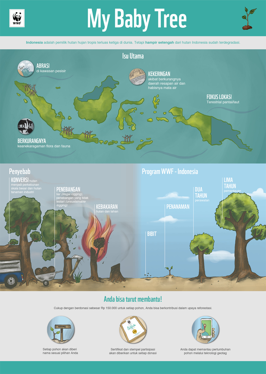 WWF_ID's tweet image. Kerusakan hutan mengakibatkan berkurangnya keanekaragaman flora dan fauna, keringnya sumber mata air, juga abrasi. Hijaukan kembali hutan Indonesia dengan tanam pohon di wwf.id/mybabytree ❤️🌱 #MyBabyTree
