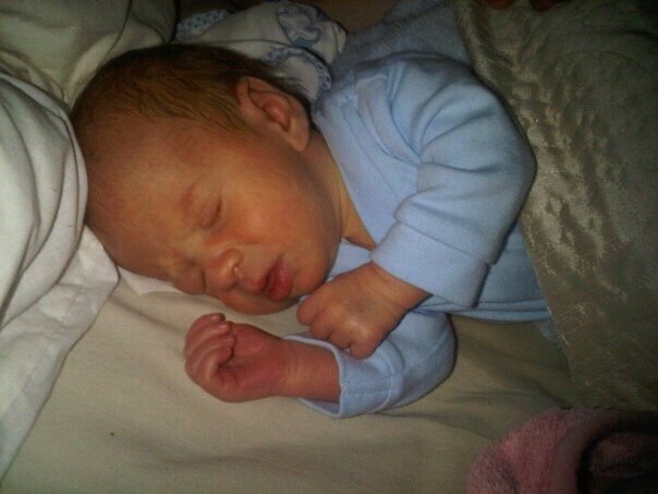 StanleysJourney's tweet photo. My boy Alfie. https://t.co/gDiaE5ot3l https://t.co/vEw4NP4kGM
