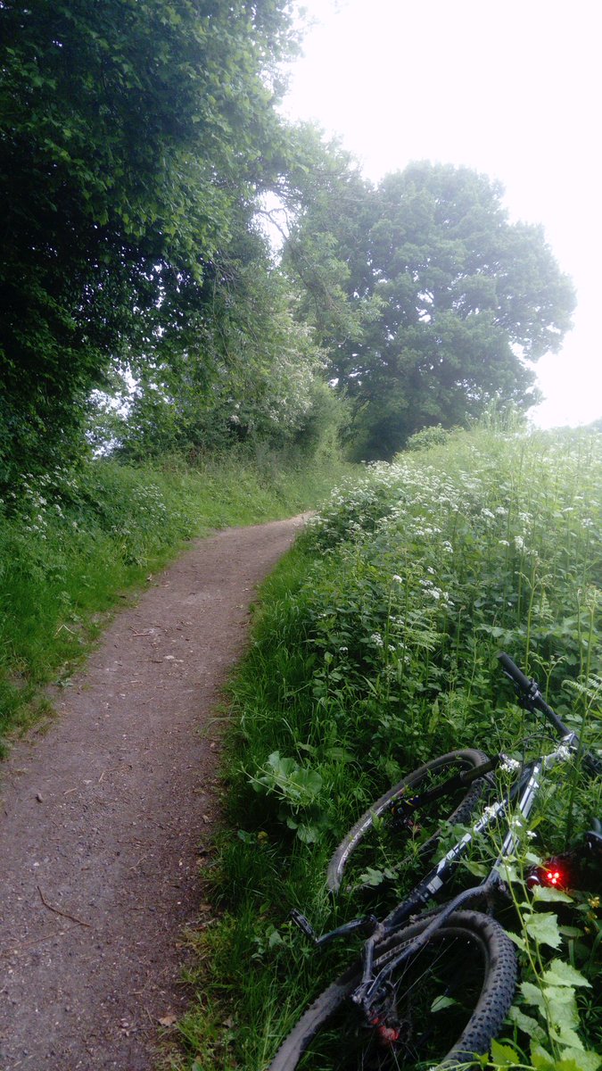 AndrewSalisbur2's tweet photo. Back on the bike today. #mountainbiking #mygreencommute #Dorking to @RHSWisley usual view of #boxhill https://t.co/rpi0PRC6xD