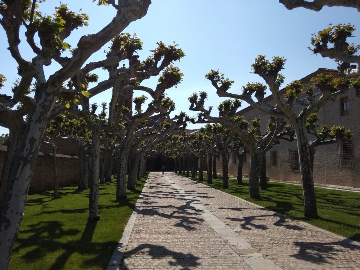 aragusta2018's tweet photo. En Aragusta, nos comprometemos a ofrecer visitas guiadas a todo el mundo, descubre una visita guiada en la región de Tarazona, en el monasterio de la veruela con un grupo de invidentes. #Aragon #Tarazona #Visit https://t.co/x472irAswj