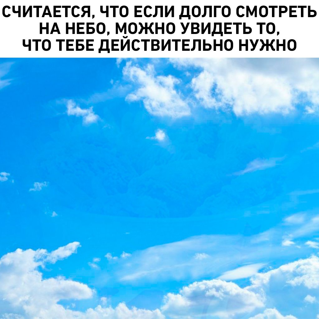 птицы в небе. посмотри на небо. приколы про звезды на небе. перестал видеть небо. небо видело все.