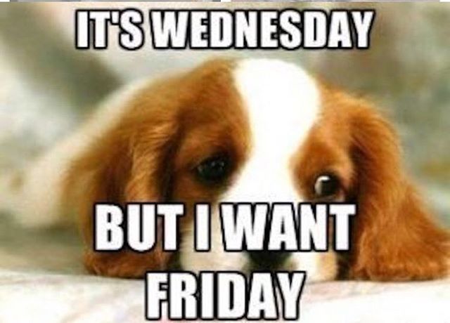 jolates's tweet photo. Is anyone else finding this a really long week?! Roll on the long weekend...
Until then I’ve got three Jolates pilates classes to brighten your Wednesday - 1.10pm @motionstudiosbristol and 6pm and 7.15pm in Clifton #wednesday #workout #jolates #pilates #class #abs #core #str… https://t.co/288dNyutjc