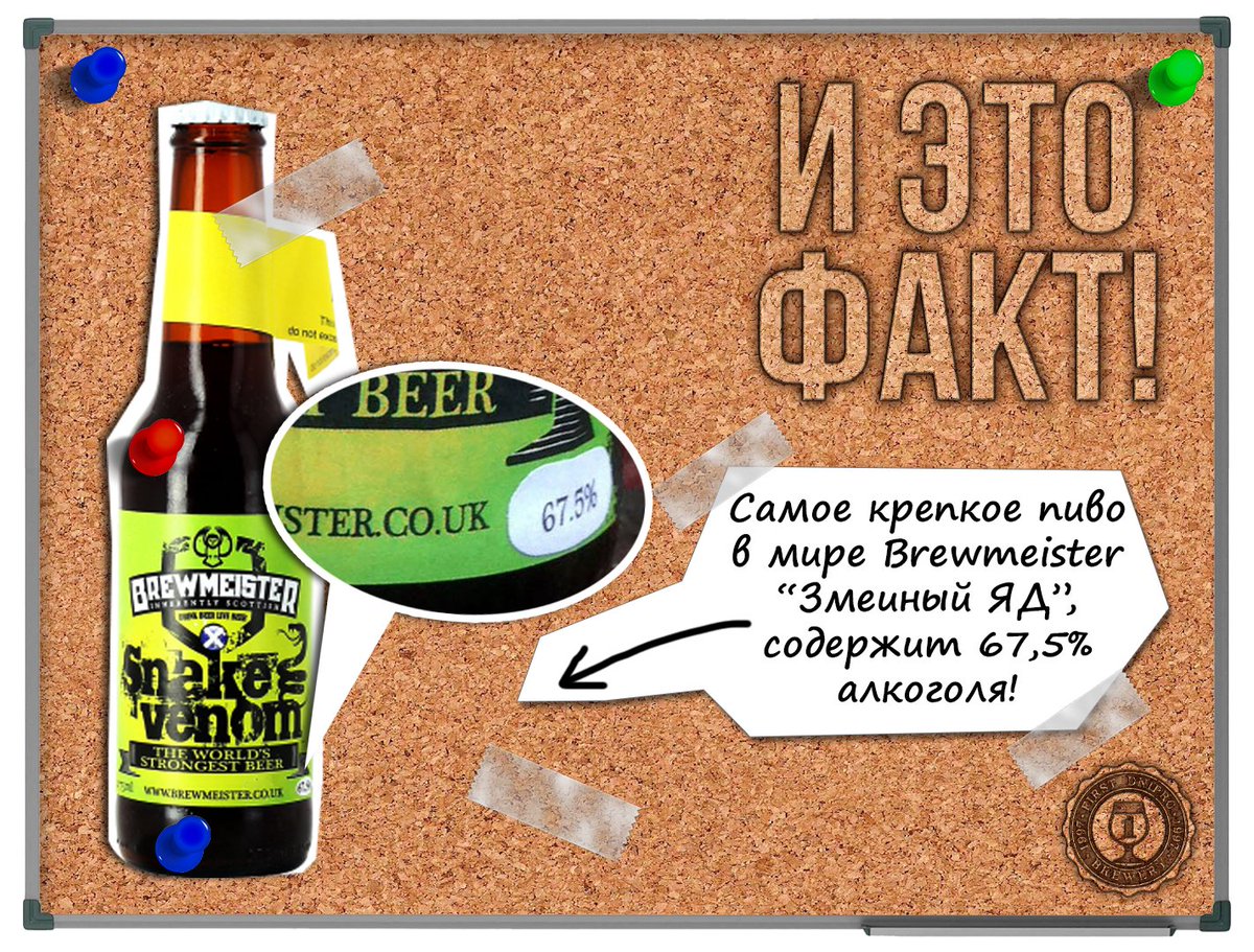 FirstDniproBrew's tweet photo. Самое крепкое пиво в мире Brewmeister` "Змеиный яд". В то время, как в обычном пивном напитке содержится около 5% алкоголя, шотландский "Змеиный яд" содержит 67,5% алкоголя.

#факт #fdb #firstdniprobrewery #beer #brew #brewery #craft #craftbeer #dp #dnipro #ukraine https://t.co/JHpWKVTaLH