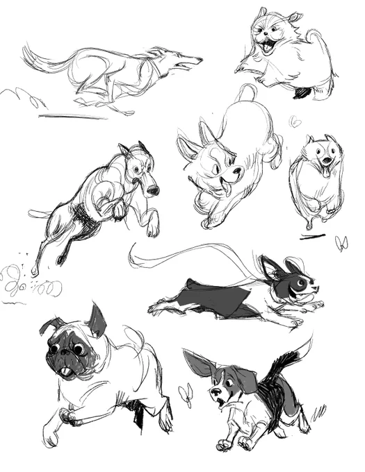 ending the night with running dogs 