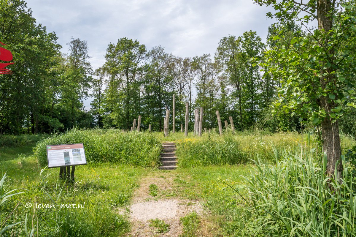 Leven_Met's tweet photo. 22-05-2018 Samen met Boswachter Amy een ronde gemaakt door het #Roggebotzand #Dronte #oostelijkflevoland #flevoland @staatsbosbeheer Wat een prachtige omgeving https://t.co/T4YQkkQhuL