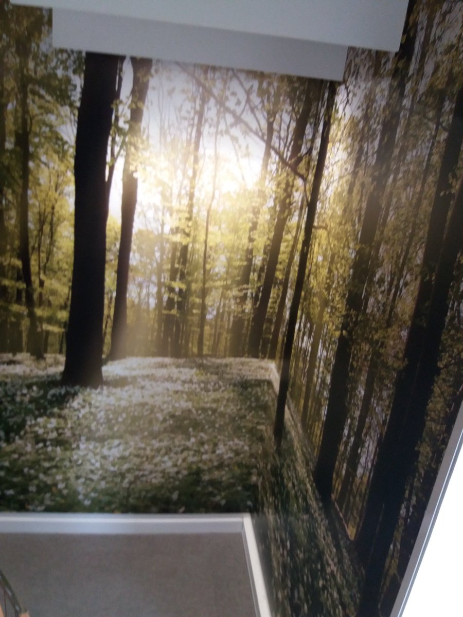 FabbriJulie's tweet image. Le chef happiness @VillagebyCaCe raconte de belles histoires pour illustrer la conception de l'espace collaboratif et inspirant #4saisons #QVT #bienêtreautravail @HappyWorkWay @FabriqueSpinoza #OWEEinnolab @Biz_Mediation @collspaces