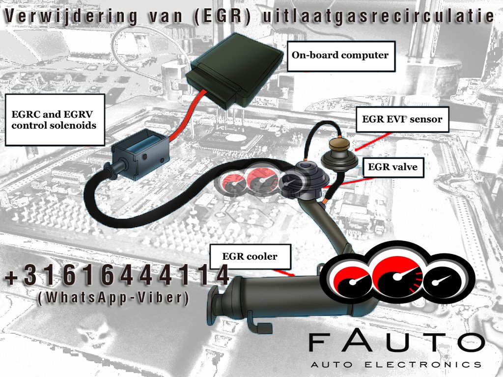 fauto19 tweet picture