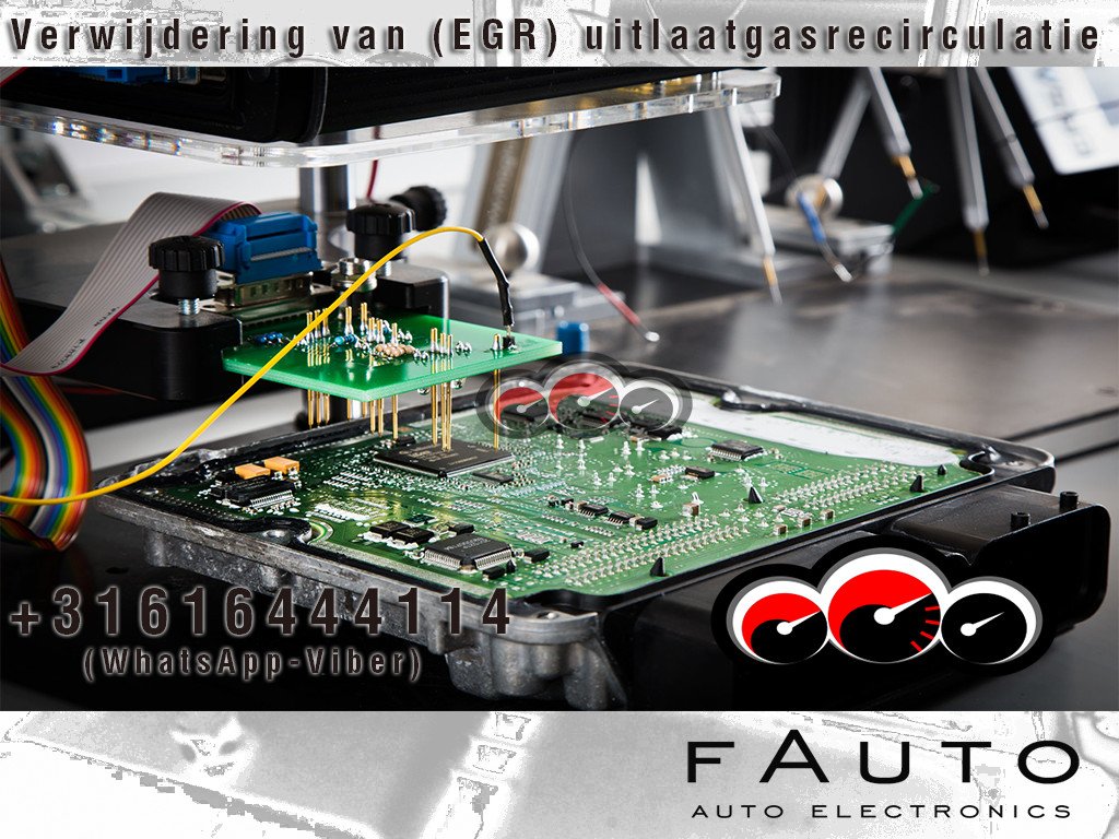 fauto19 tweet picture