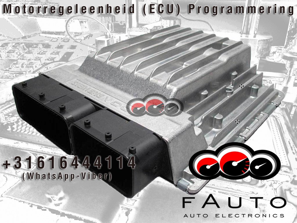 fauto19 tweet picture