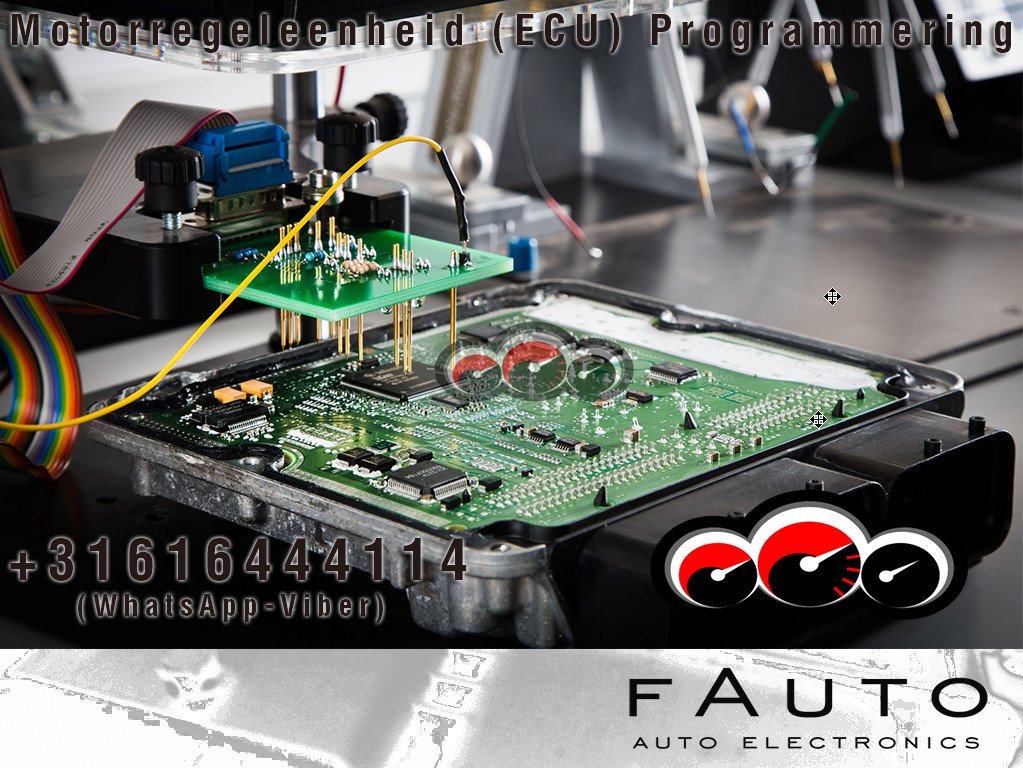 fauto19 tweet picture