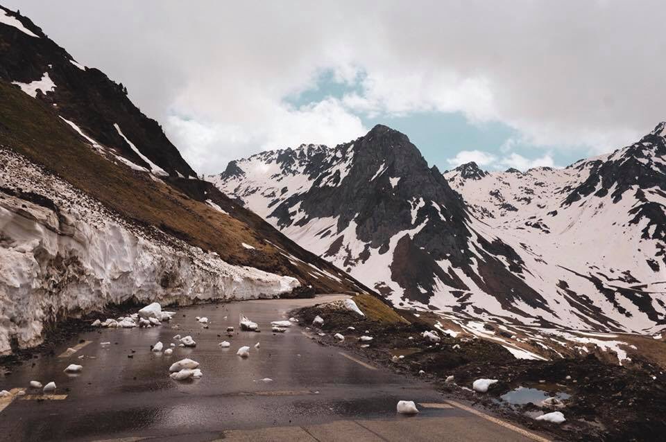 Sophie Danks 💙 tweet media